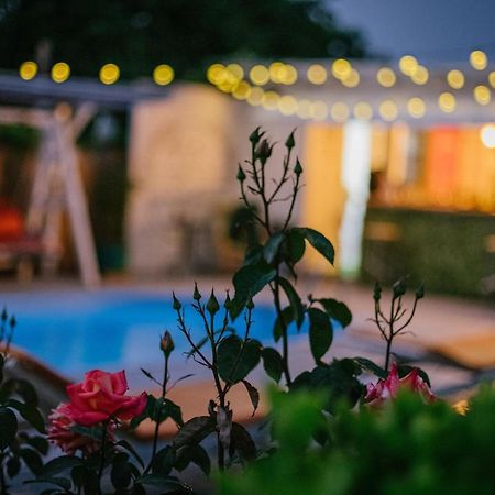 Vila Primavera Vama Veche Εξωτερικό φωτογραφία
