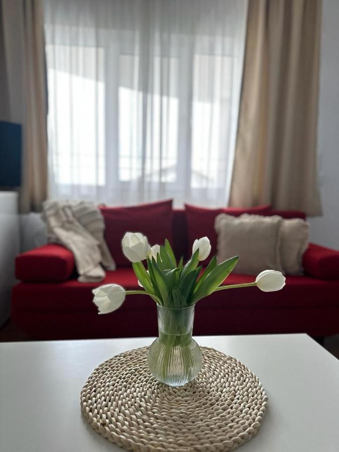 Vila Primavera Vama Veche Εξωτερικό φωτογραφία